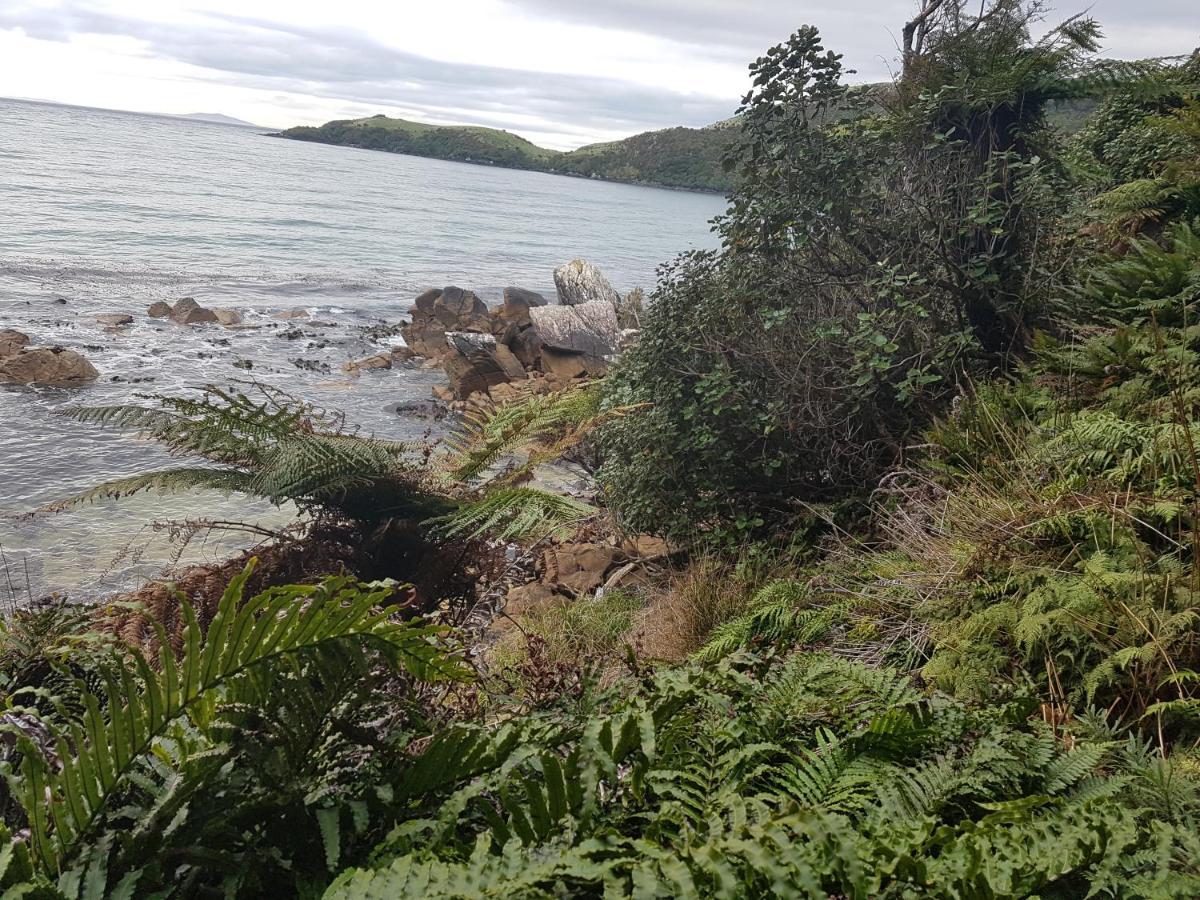 Ponga B&B 半月湾 外观 照片